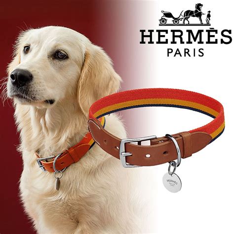 hermes pet accessories